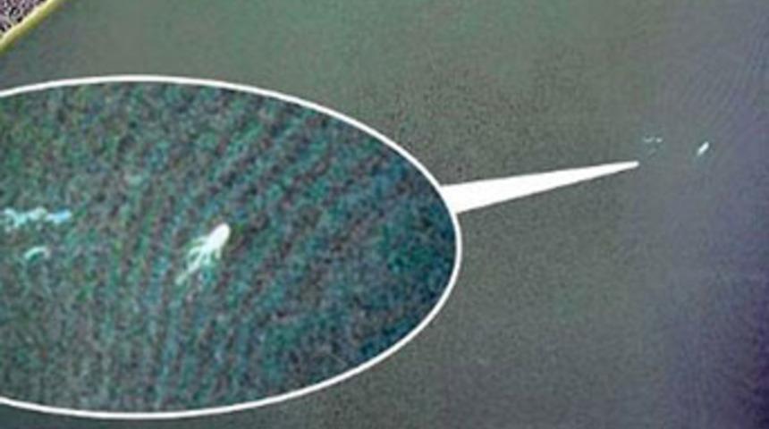 Efsanevi canavarı uydu buldu