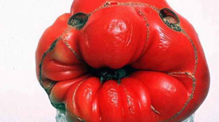 Meyve ve sebzeler şekil değiştirirse!