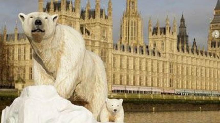 İngiltere'yi kutup ayıları bastı