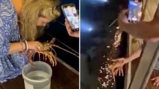 Binlerce lira değerinde ıstakoz sipariş etti! Bir anda ayağa kalkıp canlı ıstakozu denize geri bıraktı... Restorandakiler şaşkınlıkla izledi 