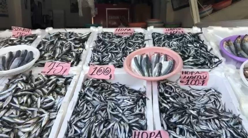Sezonun ilk yerli hamsisi 100 TL&rsquo;den tezgahtaki yerini aldı