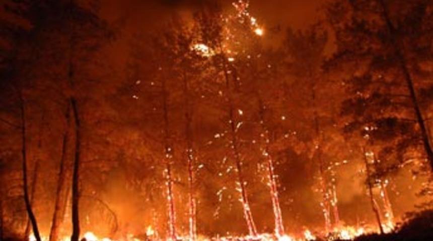 Kazdağları alev alev!