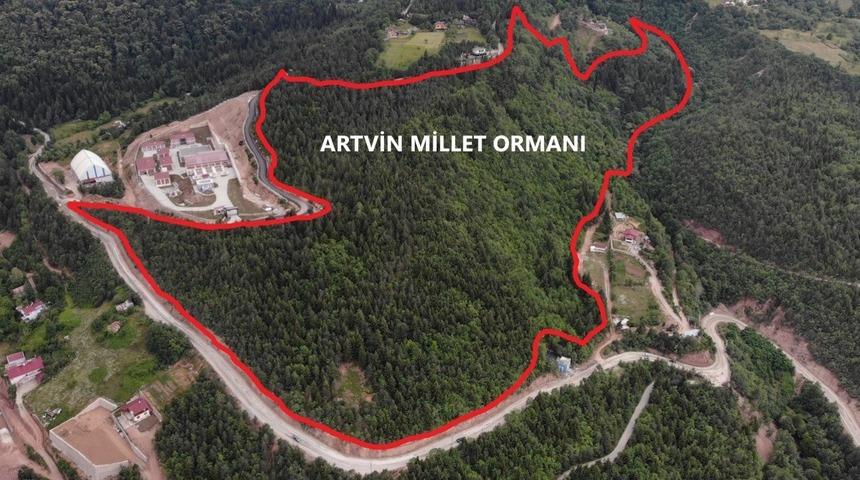 Artvin’e 10 Hektarlık alanda Millet Ormanı oluşturulacak