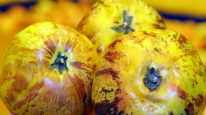 Sağlık deposu pepino