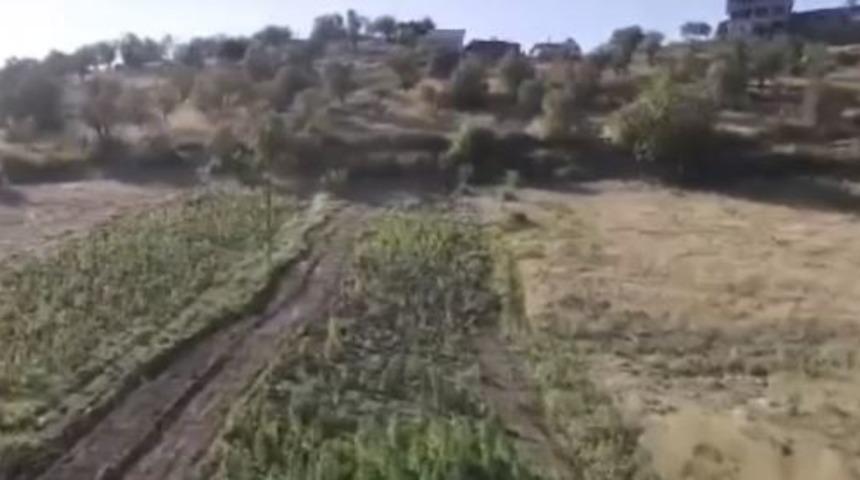 İçişleri Bakanı Yerlikaya duyurdu: 2 tondan fazla esrar ele geçirildi