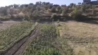 İçişleri Bakanı Yerlikaya duyurdu: 2 tondan fazla esrar ele geçirildi