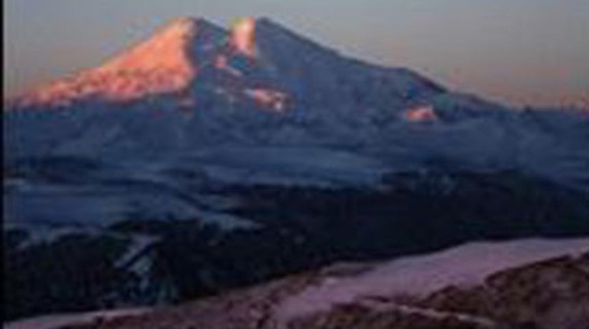 Bilim adamları bir ilke imza atıyor