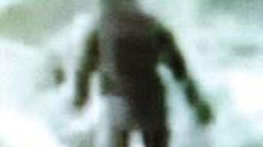 Bu yaratık Kocaayak mı ?