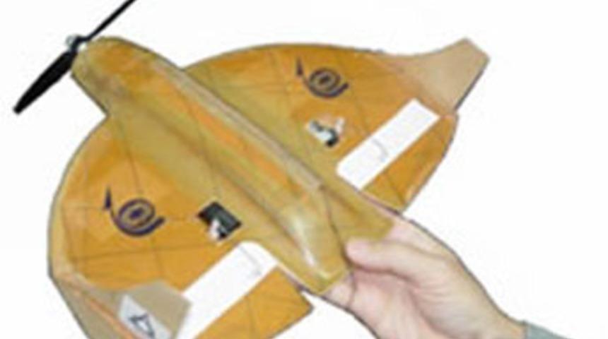 Sivrisinekle istihbarat toplanacak