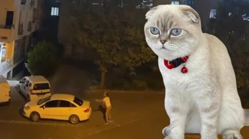 Esenyurt'ta kedi için sokak ortasında silahlı çatışma! Yoldan geçen kurye vuruldu