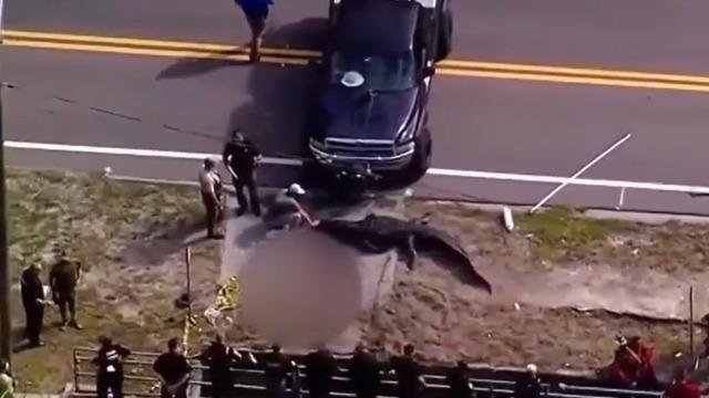 14 metrelik timsah cansız insan bedenini kanala taşırken yakalandı! Görenler ne olduğunu anlayamadı... Bir silah sesi duyduk