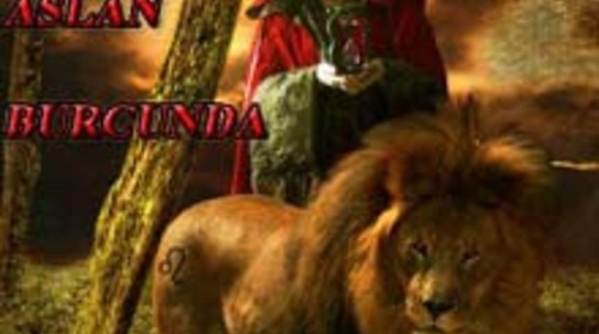 Ven&uuml;s Aslan Burcunda