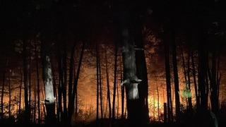 İstanbul'da korkutan yangın! Çok sayıda ekip sevk edildi