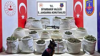 Son dakika | 7 ilde dev operasyon: Zehir tacirlerine büyük darbe! Onlarcası yakalandı, Bakan Yerlikaya ele geçirilenleri paylaştı