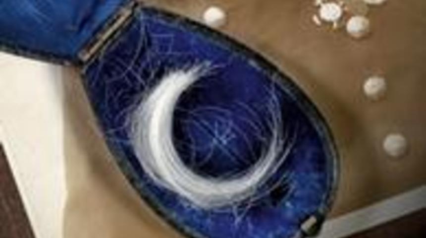 Bir tutam imparator saçına 14 bin Euro