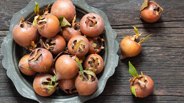 Töngelin faydaları nelerdir? Töngel ne işe yarar, hangi hastalıklara iyi gelir?