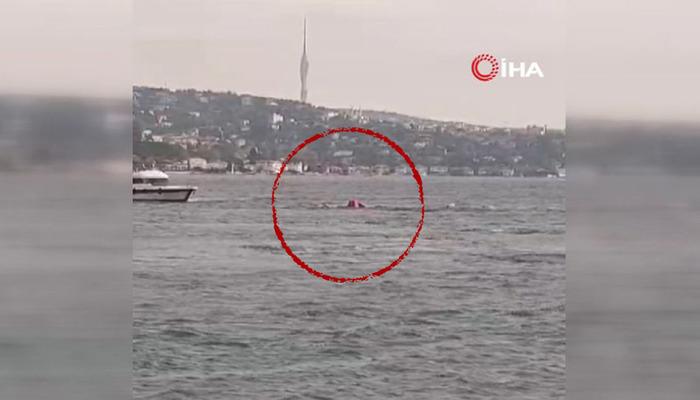 Beşiktaş’ta bir tekne alabora oldu! Suya düşen 4 kişi kurtarıldı