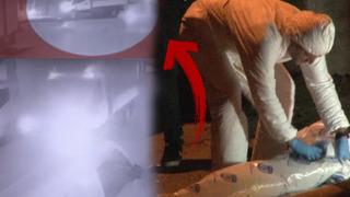 İstanbul'da korkunç olay! Dere kenarına bırakıp kaçtılar: 'Tüylerim diken diken oldu'