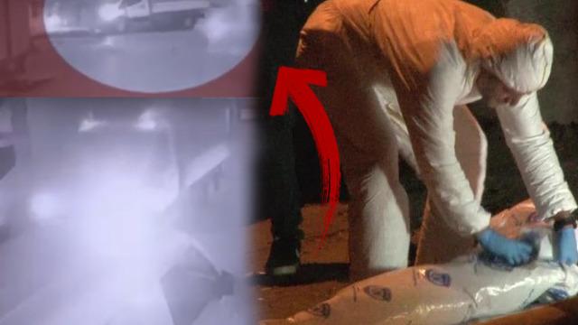 İstanbul'da korkunç olay! Dere kenarına bırakıp kaçtılar: 'Tüylerim diken diken oldu'