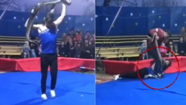 Herkes gösteri olduğunu zannetti! Yardım istediğini kimse anlamadı... Boynuna dolanan yılan tarafından boğuldu