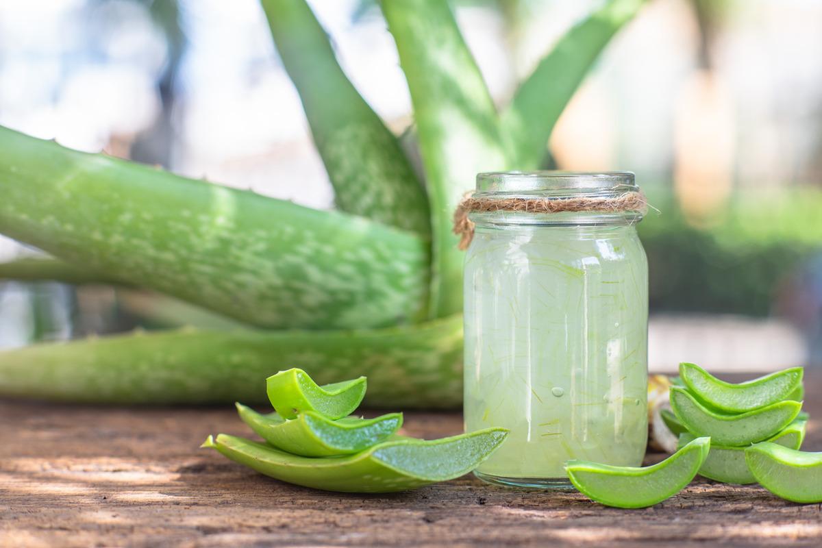 Aloe vera cilt lekelerine iyi gelir mi? Aloe vera cilt lekeleri iin nasl  kullanlr?