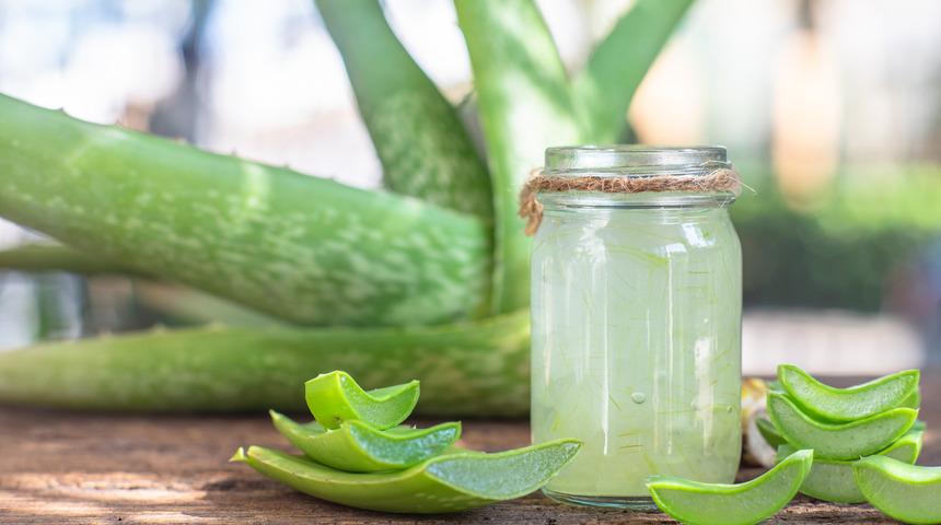 Aloe vera cilt lekelerine iyi gelir mi? Aloe vera cilt lekeleri için nasıl kullanılır?