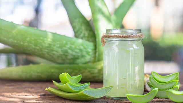 Aloe vera cilt lekelerine iyi gelir mi? Aloe vera cilt lekeleri için nasıl kullanılır?