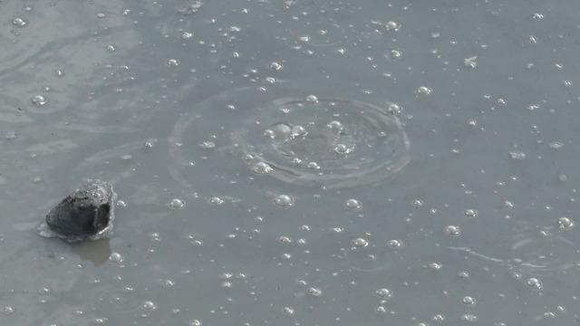 Yer: İstanbul! Kimyasal atık paniği: 'Çekirdek paramparça oldu'