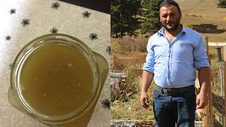 89 nüfuslu köyde keşfedildi! Köy halkına maden bulunmuş gibi mutluluk yaşatıyor, kilogram fiyatı dudak uçuklatıyor