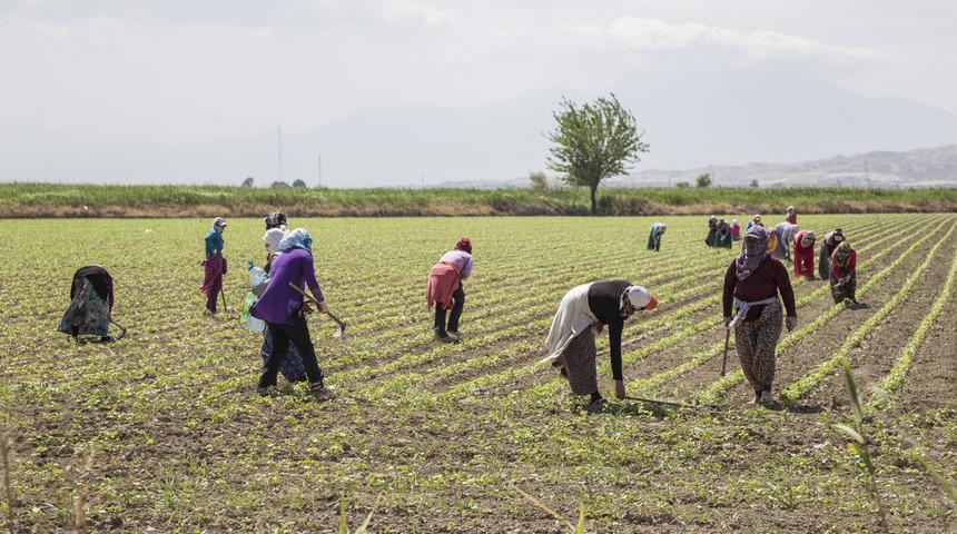 2925 Tarım sigortası nedir? 2925 Tarım sigortası EYT şartları nelerdir?