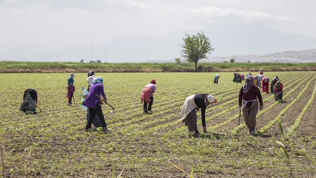 2925 Tarım sigortası nedir? 2925 Tarım sigortası EYT şartları nelerdir?
