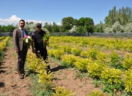 Hollanda'da görüp 'kendi memleketimde neden olmasın?' dedi! Şimdi taleplere yetişemiyor