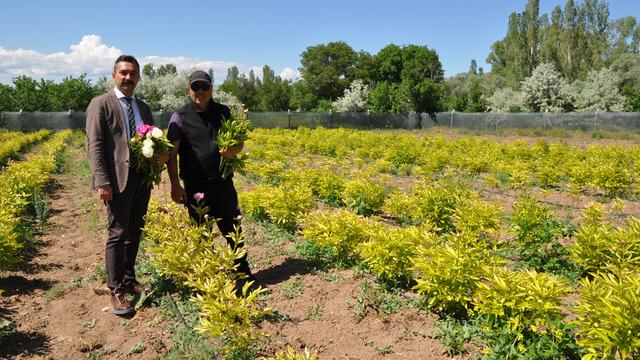 Hollanda'da görüp 'kendi memleketimde neden olmasın?' dedi! Şimdi taleplere yetişemiyor