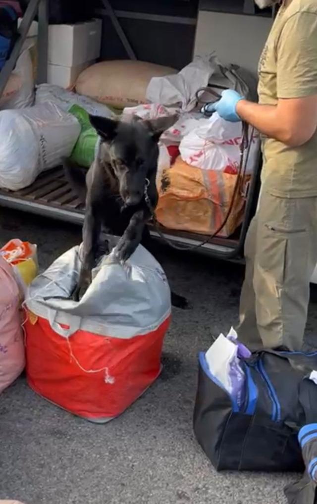 Samsun’da durdurulan yolcu otobüsünde 7,5 kilogram uyuşturucu ele geçirildi