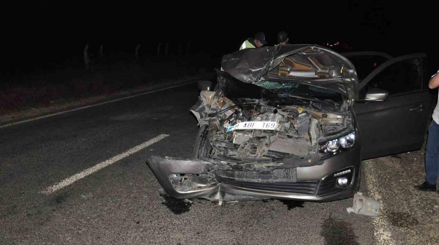 Otomobil domuz sürüsüne çarptı: 2 yaralı