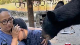 Ayı piknik masasını bastı! Dakikalarca hareket etmeden beklediler... Göz göze gelmemesi için çocuğunun gözlerini kapattı