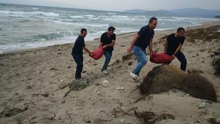 Yasak alandan toplandı: 5,5 ton kum şırlanı ele geçirildi! Canlı olanları...