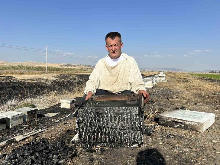 Kahramanmaraş’ta 150 arı kovanı yandı G2