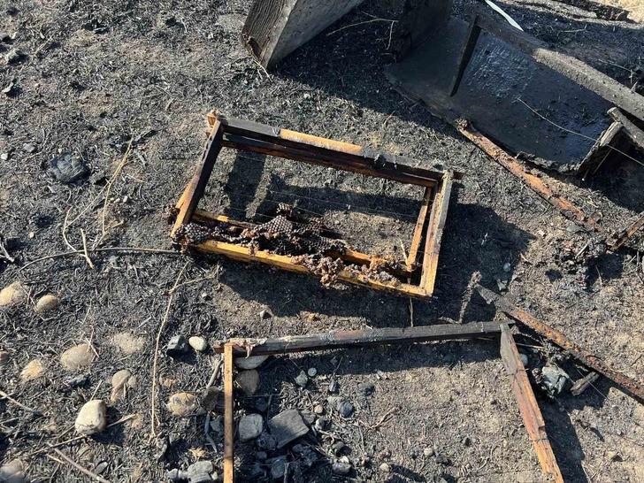 Kahramanmaraş’ta 150 arı kovanı yandı G5