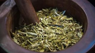 Adeta metabolizma canavarı: İştahı kesiyor, kabızlığı önlüyor! Cayır cayır yağ yakıyor