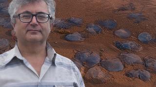 35 yıldır gözlem çalışmaları yürütüyorum, ilk defa bu kadar yoğun miktarda... diyerek anlattı! Sözleri tedirgin etti: Ortada normal olmayan bir gelişme var