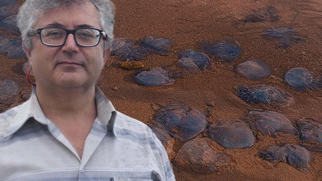 35 yıldır gözlem çalışmaları yürütüyorum, ilk defa bu kadar yoğun miktarda... diyerek anlattı! Sözleri tedirgin etti: Ortada normal olmayan bir gelişme var