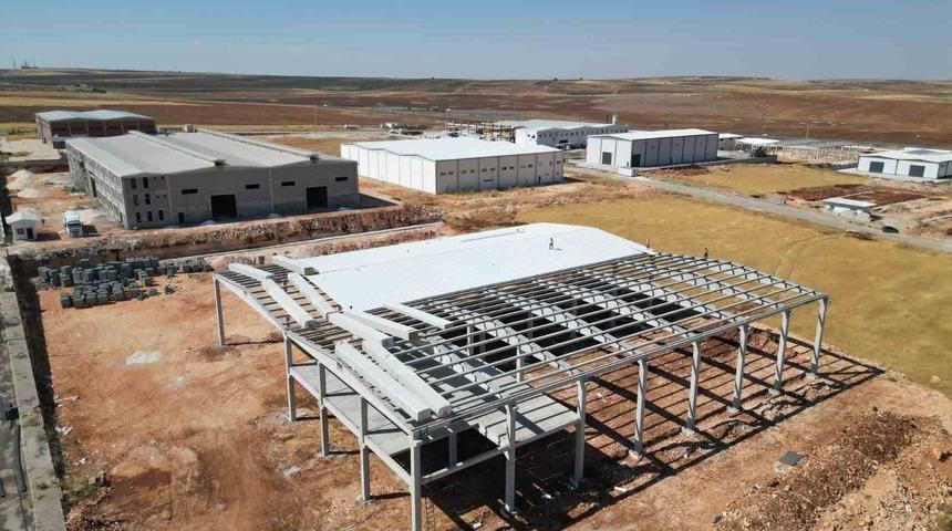 Türkiye’nin fıstık ihracatını karşılayan Şanlıurfa’da modern tesisler kuruluyor