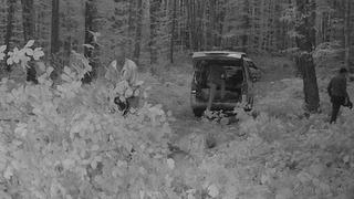 Ormanda kaçak kesim yaparken fotokapana yakalandılar! 3 kişi gözaltında