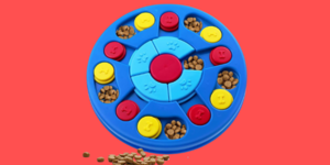 Evcil hayvan sahipleri buraya! Minik dostlarınızı mutlu edecek oyuncaklar