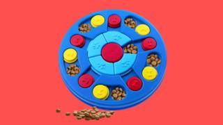 Evcil hayvan sahipleri buraya! Evcil dostlarınızı mutlu edecek oyuncak önerileri