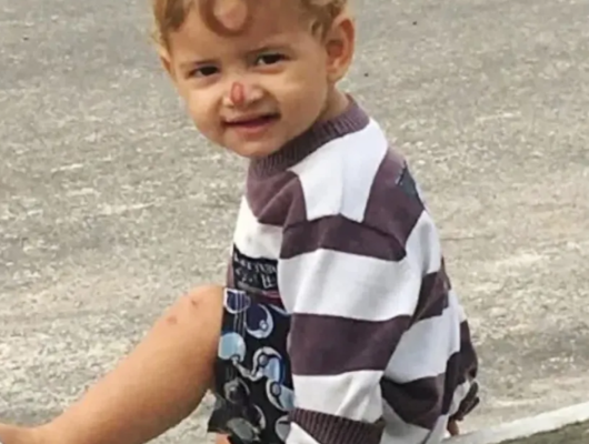 2 yaşındaki çocuk pitbull saldırısında hayatını kaybetti