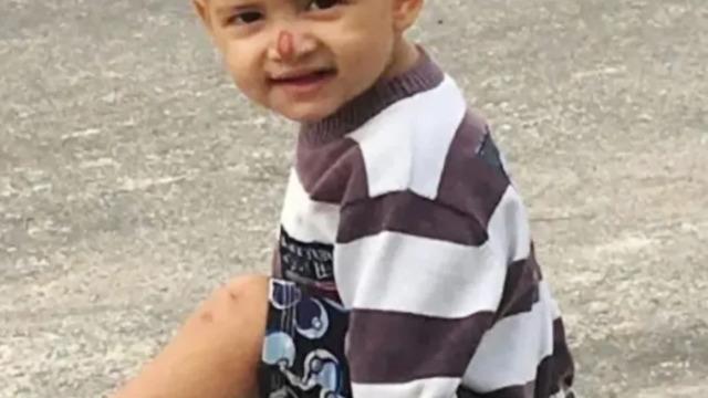 Topunu almak bahçeden almak isteyen 2 yaşındaki çocuk pitbull saldırısında hayatını kaybetti! Zincir tasmasını kopartıp saldırdı