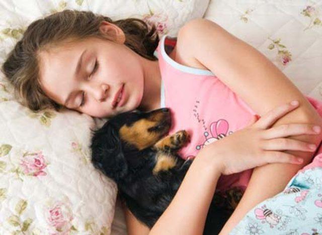 Evcil Hayvanların 6 Yararı 1