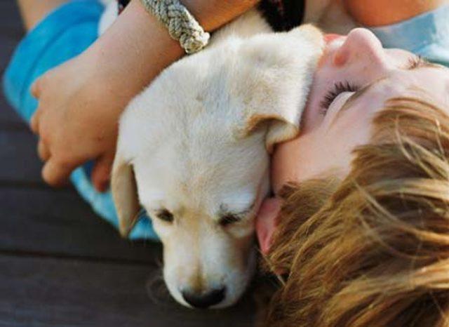 Evcil Hayvanların 6 Yararı 3